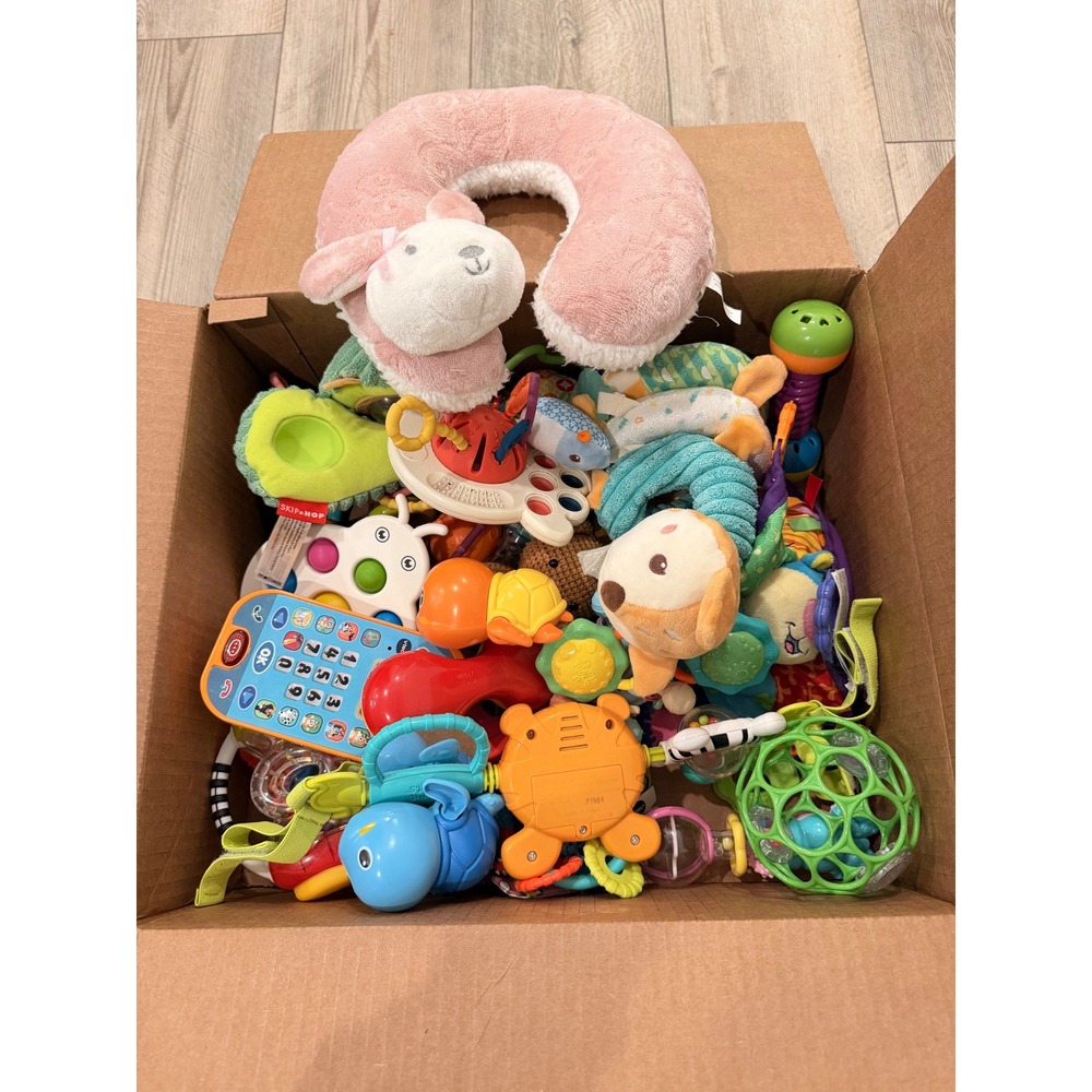 Baby Toddler Toy Lot Skip Hop VTech Nuby Bluey Phone Rattles Teethers Plush 30pc